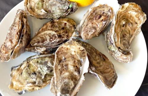 Cottage de charme en pierres à 25 mn de la côte de Granit rose - Foto 16