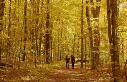 Equinox Resort Residences - Foto 20