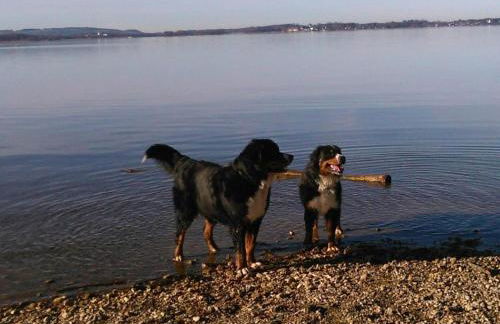 Adersberger Annemarie - Ferienwohnung - Foto 12