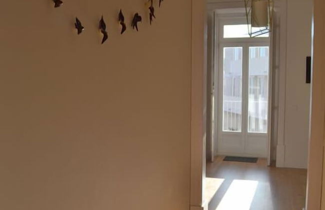 RH AURA 19 - Foto 15