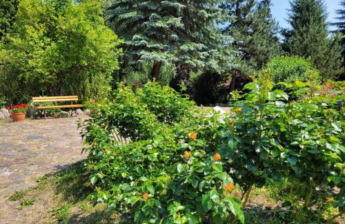 Kamienny Ogród Holiday Park - Foto 81