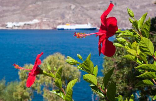 Antoniadi Rooms - Foto 17