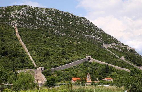 Guest House Roses - Photo 41