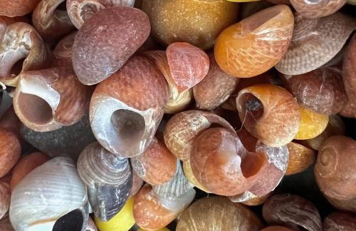 The Moorings - Just a few metres from the sea! - Photo 58