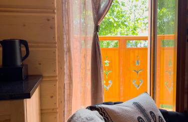 Pensjonat Dzianiszówka - Basen Jacuzzi Sauna - Foto 79