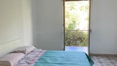 Green Heaven - Foto 4