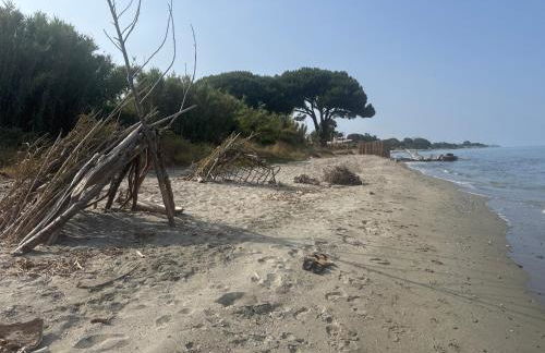 Appartement n 79 Moriani plage - Foto 34