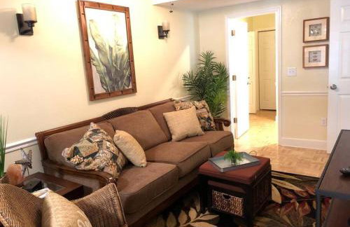 2 Bedroom Apt Overlooking Dunedin Town Square NO KIDS, NO PETS - Photo 24