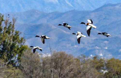 Precioso apartamento en Málaga al lado de la playa - Photo 14