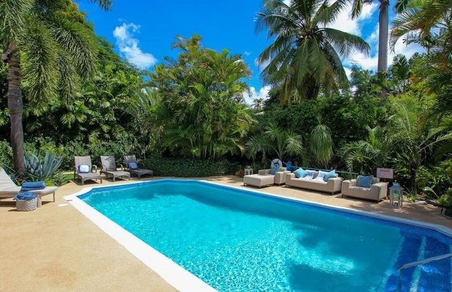 Palm Grove by Bluescape - Foto 24