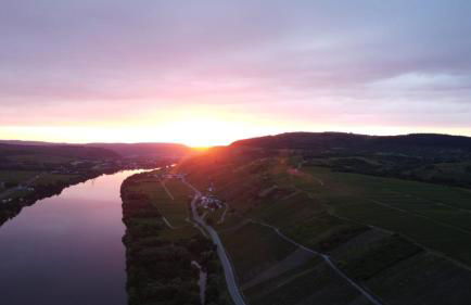 Moselglück - Foto 30