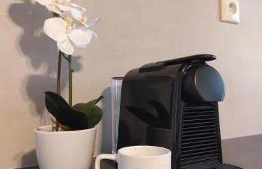 Aurora nest - Foto 15