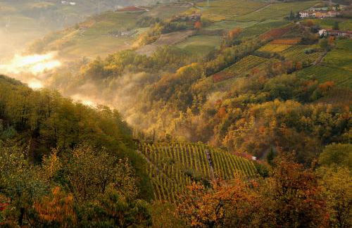 Cascina Arcangelo Raffaele - Foto 33