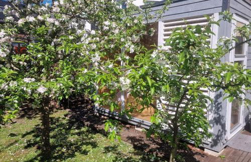 Schöne Ferienwohnung im Herzen Aurichs - Foto 28