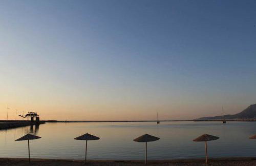 Ankypy Studios - Photo 37