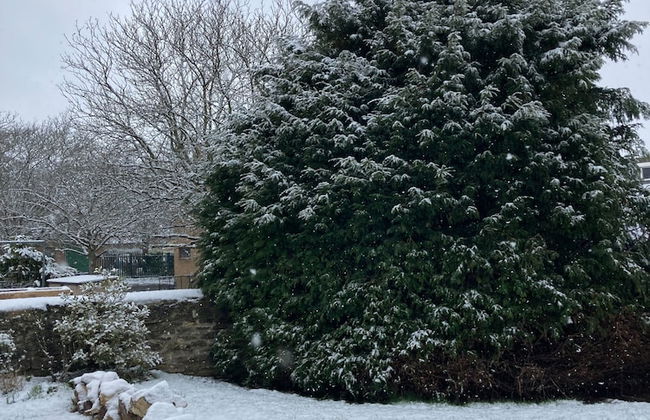 Yew Tree House - Foto 52