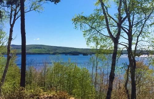 Moosehead Lodge - Foto 29