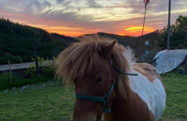 Casinha Pôr do Sol - Foto 26