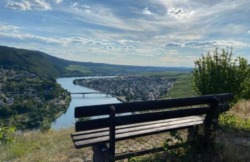 Ferienwohnung Weinbergblick - Foto 31