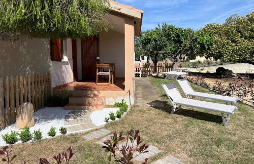 La Collina: L’alba - Foto 7