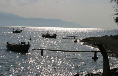 Blumenhaus (Spiti Louloudia) - Foto 42