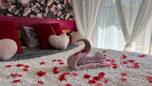 Romantisme et glamour 2 avec spa , clim et jardin - Foto 5