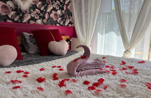 Romantisme et glamour 2 avec spa , clim et jardin - Foto 5