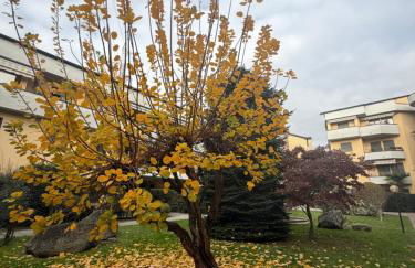 ANADÌA apartment - Photo 16