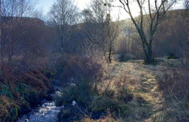 The Woodshed - Foto 8