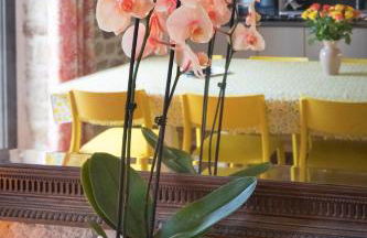 Villa Kérity-Ki - au coeur du port typique de Kérity - Photo 26