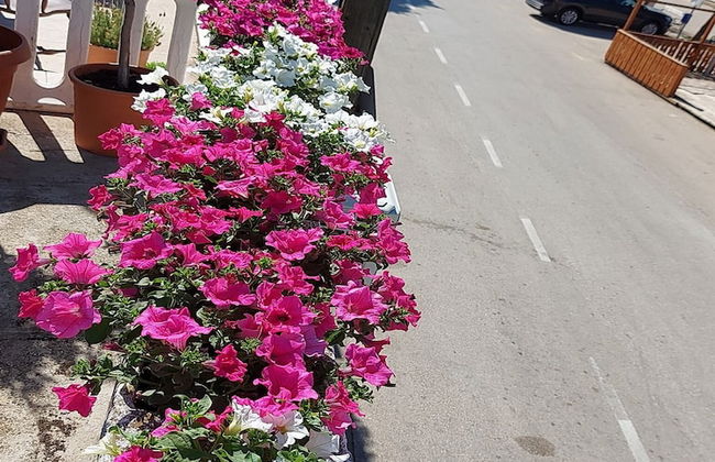 Apartment Marjan - Foto 14