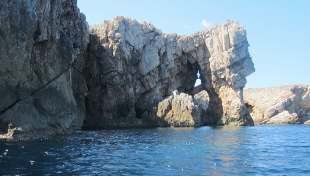Snorkel in Menorca's Marine Reserve by Speedboat from Fornells - Small Group Tour - Photo 4