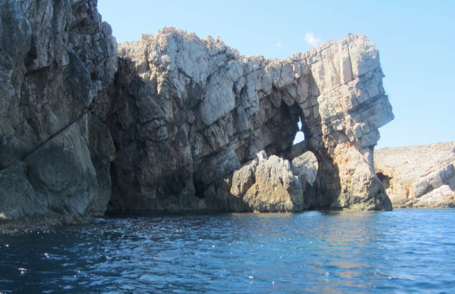Snorkel in Menorca's Marine Reserve by Speedboat from Fornells - Small Group Tour - Photo 4