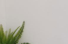 Une Escale en bord de Plage avec piscine et jardins - Photo 18