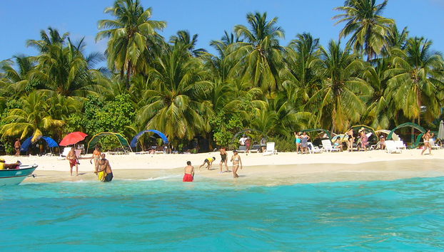 Excursion à Johnny Cay et visite à l'aquarium de San Andres - Photo 3