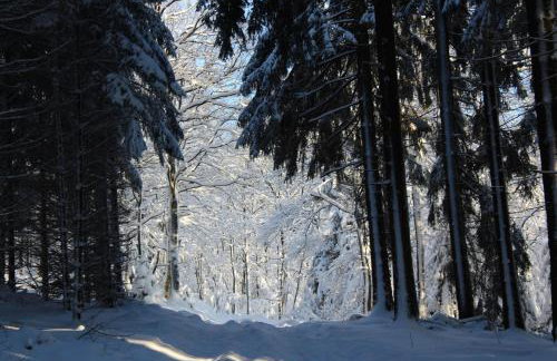 Ferienwohnungen Zum Hasenbahnhof - Photo 37