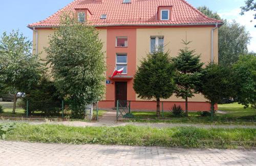 Wojska Polskiego 18 - Foto 3