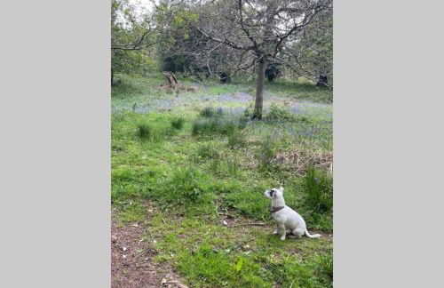 Barton Cottage - Foto 28