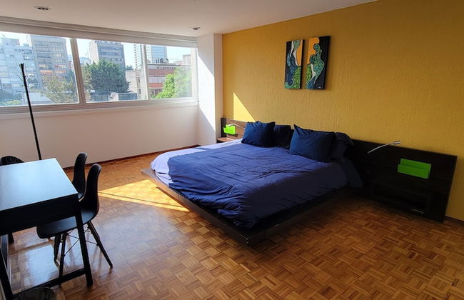 Socrates 378 - Foto 16