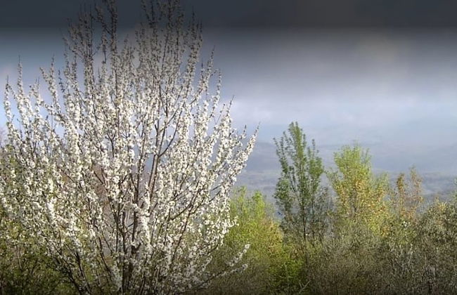 Agriturismo le Cammarose - Photo 36