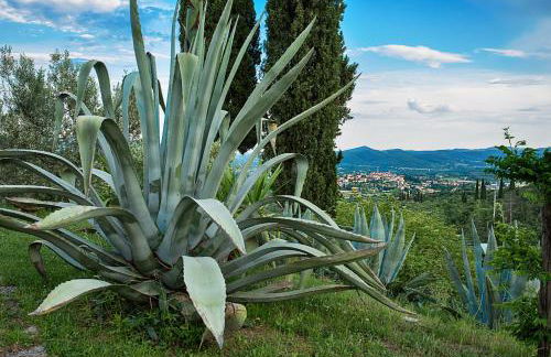 Castellina di Bocco - Foto 12