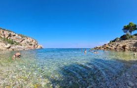 Cocciu d’amuri - Foto 41