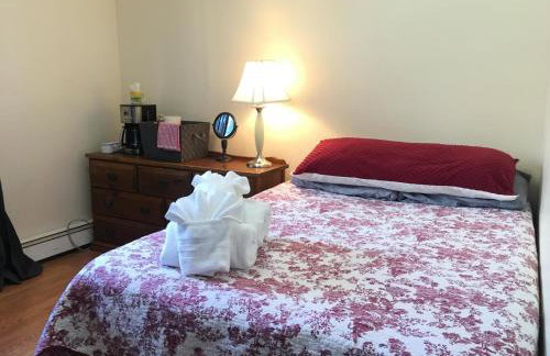 Glacier Guest Room - PRIVATE ROOM IN SHARED HOUSE REDUCED PRICE ON TOURS - Foto 12