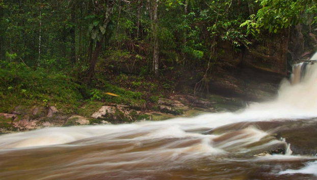 Escursione alle cascate di Presidente Figueiredo