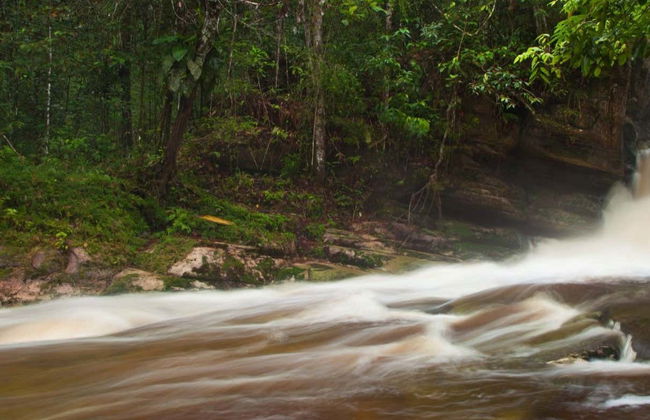 Escursione alle cascate di Presidente Figueiredo - Foto 5