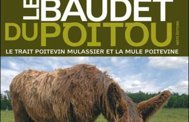 La Villa Rouge - Foto 43