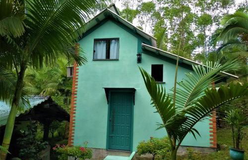 Sitio Libardo em Meio a Natureza - Nova Trento - Foto 138