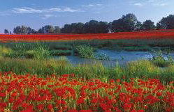 Apartament Mała Wenecja - Foto 44