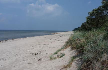 Am Pool und Strand 11 - Photo 1