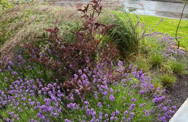 ADI Holiday Home Lurgan - Foto 16